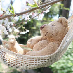 突っ張り棒でぬいぐるみ収納 壁を傷つけない飾り方やハンモックの付け方 家庭の備えと防災対策